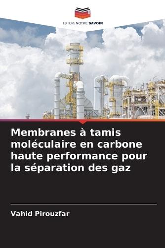 Membranes à tamis moléculaire en carbone haute performance pour la séparation des gaz
