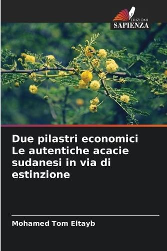 Due pilastri economici Le autentiche acacie sudanesi in via di estinzione