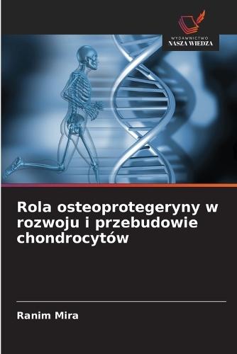 Rola osteoprotegeryny w rozwoju i przebudowie chondrocytów