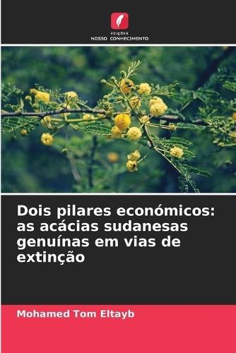 Dois pilares económicos: as acácias sudanesas genuínas em vias de extinção