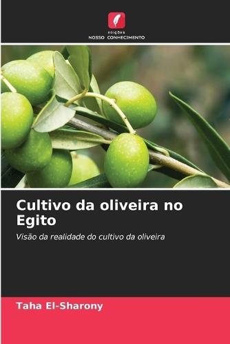 Cultivo da oliveira no Egito
