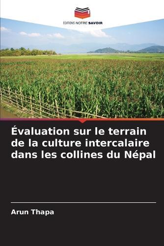 Évaluation sur le terrain de la culture intercalaire dans les collines du Népal