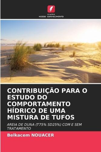 Contribuição Para O Estudo Do Comportamento Hídrico de Uma Mistura de Tufos
