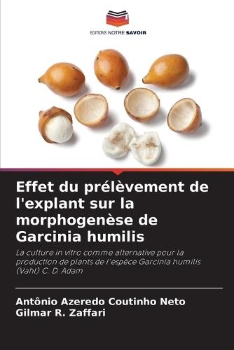 Effet du prélèvement de l'explant sur la morphogenèse de Garcinia humilis