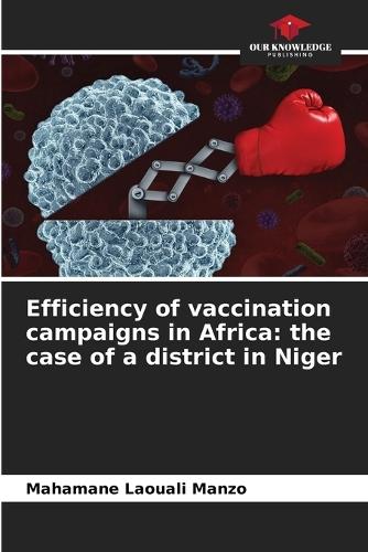 Efficiency of vaccination campaigns in Africa: the case of a district in Niger