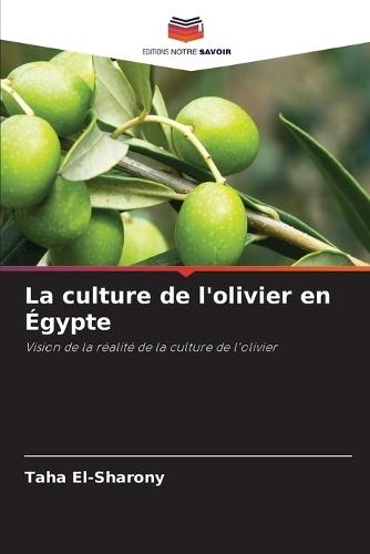 La culture de l'olivier en Égypte