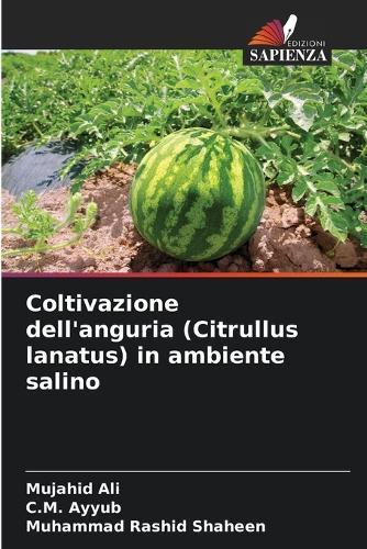 Coltivazione dell'anguria (Citrullus lanatus) in ambiente salino
