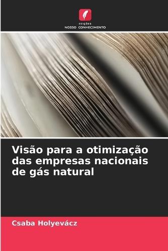 Visão para a otimização das empresas nacionais de gás natural