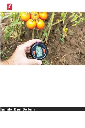 Explorar as respostas adaptativas do tomateiro