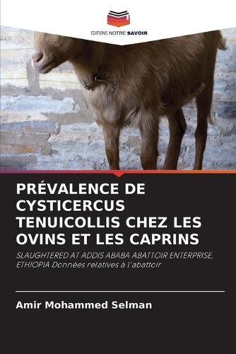 Prévalence de Cysticercus Tenuicollis Chez Les Ovins Et Les Caprins
