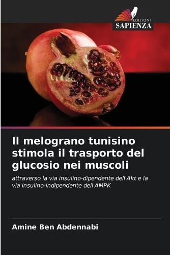 Il melograno tunisino stimola il trasporto del glucosio nei muscoli
