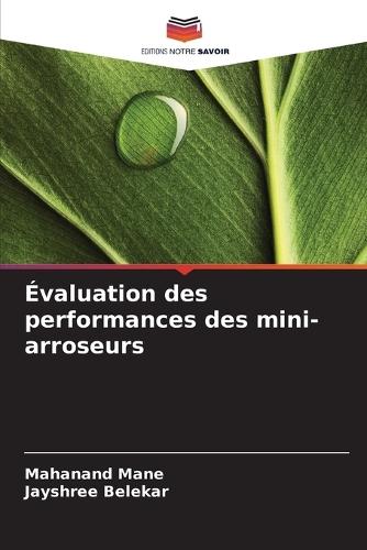 Évaluation des performances des mini-arroseurs