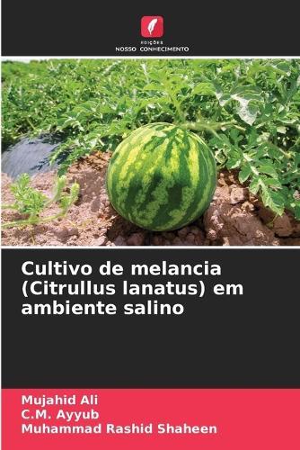 Cultivo de melancia (Citrullus lanatus) em ambiente salino