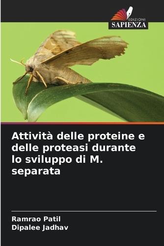 Attività delle proteine e delle proteasi durante lo sviluppo di M. separata