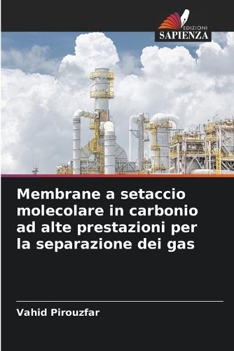 Membrane a setaccio molecolare in carbonio ad alte prestazioni per la separazione dei gas
