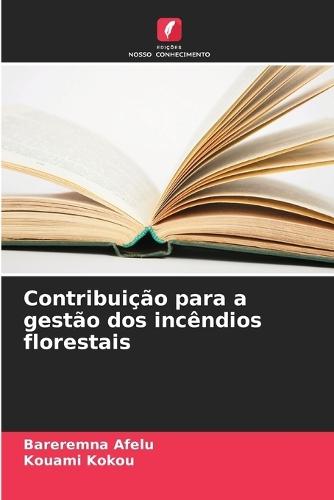 Contribuição para a gestão dos incêndios florestais