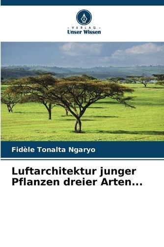 Luftarchitektur junger Pflanzen dreier Arten...