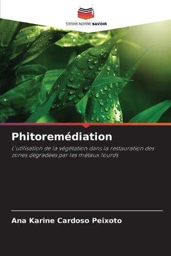 Phitoremédiation
