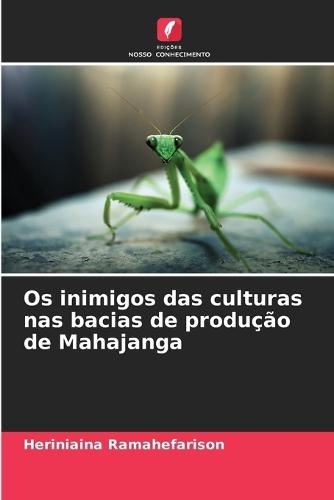 Os inimigos das culturas nas bacias de produção de Mahajanga