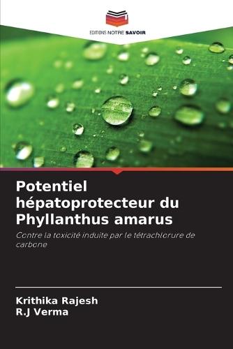 Potentiel hépatoprotecteur du Phyllanthus amarus
