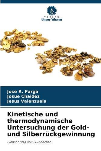 Kinetische und thermodynamische Untersuchung der Gold- und Silberrückgewinnung