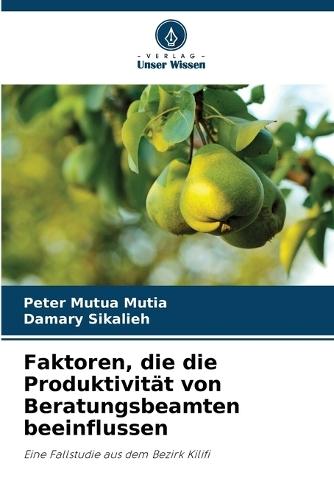 Faktoren, die die Produktivität von Beratungsbeamten beeinflussen