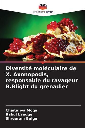 Diversité moléculaire de X. Axonopodis, responsable du ravageur B.Blight du grenadier