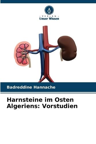 Harnsteine im Osten Algeriens: Vorstudien
