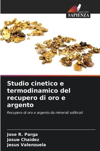 Studio cinetico e termodinamico del recupero di oro e argento