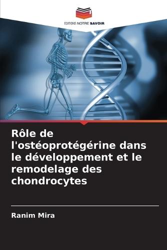 Rôle de l'ostéoprotégérine dans le développement et le remodelage des chondrocytes