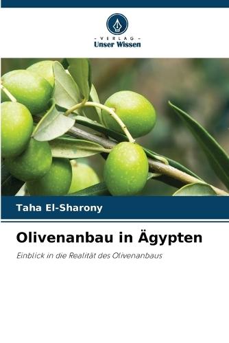 Olivenanbau in Ägypten