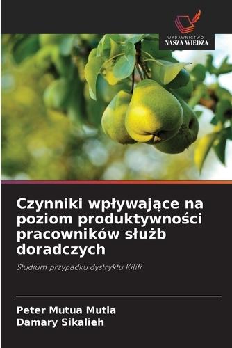 Czynniki wplywające na poziom produktywności pracowników slużb doradczych
