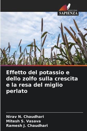 Effetto del potassio e dello zolfo sulla crescita e la resa del miglio perlato