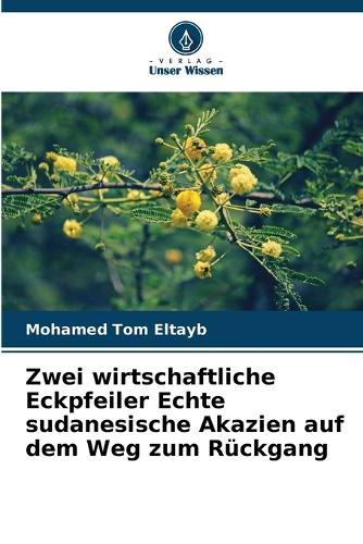 Zwei wirtschaftliche Eckpfeiler Echte sudanesische Akazien auf dem Weg zum Rückgang