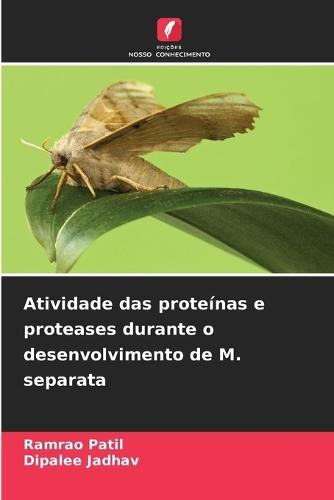 Atividade das proteínas e proteases durante o desenvolvimento de M. separata