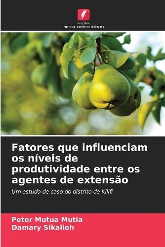 Fatores que influenciam os níveis de produtividade entre os agentes de extensão