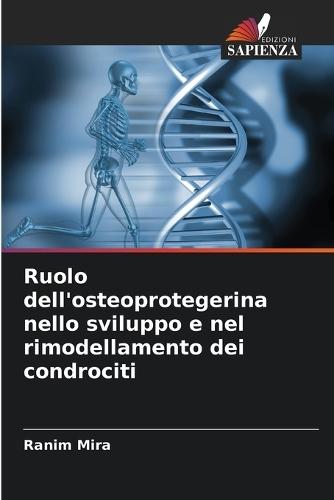 Ruolo dell'osteoprotegerina nello sviluppo e nel rimodellamento dei condrociti