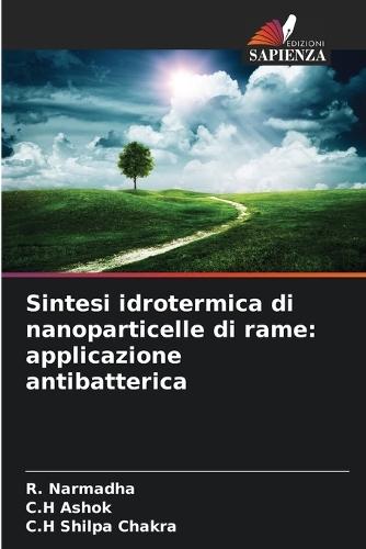 Sintesi idrotermica di nanoparticelle di rame: applicazione antibatterica
