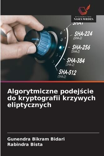 Algorytmiczne podejście do kryptografii krzywych eliptycznych