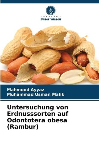 Untersuchung von Erdnusssorten auf Odontotera obesa (Rambur)