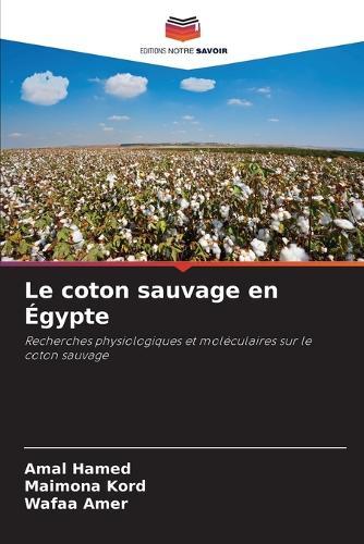 Le coton sauvage en Égypte