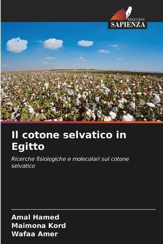 Il cotone selvatico in Egitto