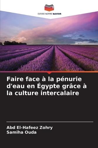 Faire face à la pénurie d'eau en Égypte grâce à la culture intercalaire