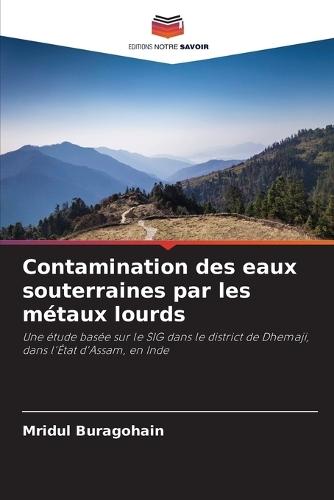 Contamination des eaux souterraines par les métaux lourds