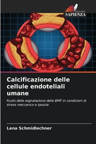 Calcificazione delle cellule endoteliali umane