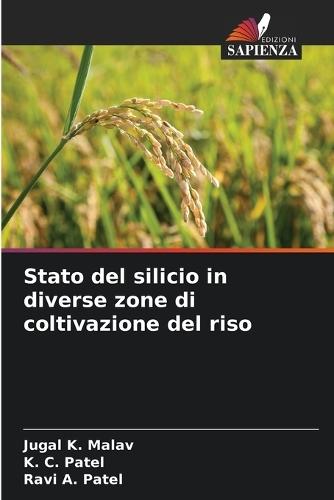Stato del silicio in diverse zone di coltivazione del riso