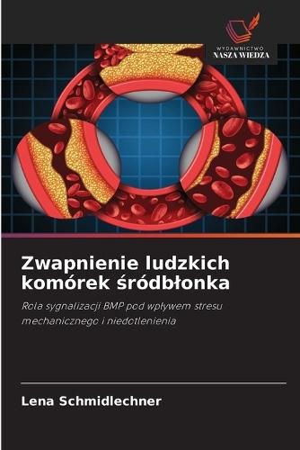Zwapnienie ludzkich komórek śródblonka