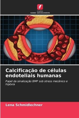 Calcificação de células endoteliais humanas