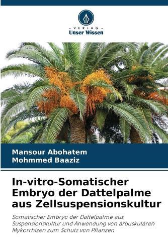 In-vitro-Somatischer Embryo der Dattelpalme aus Zellsuspensionskultur