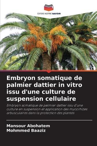 Embryon somatique de palmier dattier in vitro issu d'une culture de suspension cellulaire